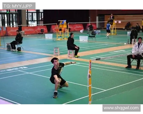 重庆羽毛球队个人能力深度解析与发展策略探讨